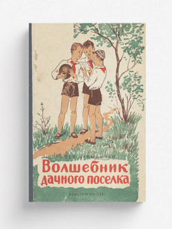 Волшебник дачного поселка | Давыдычев Лев Иванович