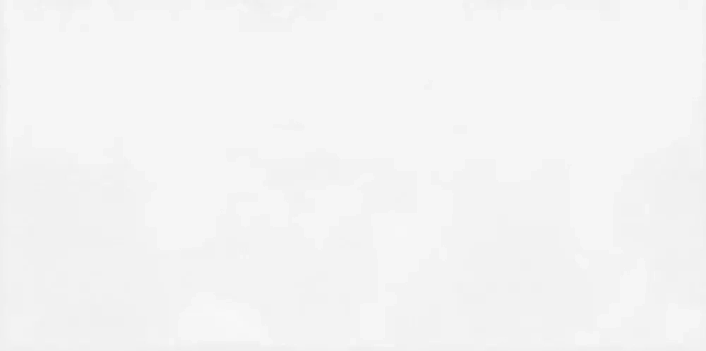 Настенная плитка ALMA Ceramica TWU09MNR030 Brenta 50x24.9 белая глянцевая моноколор