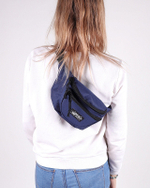 Поясная сумка Anteater Waistbag Синий