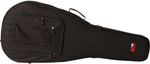 Нейлоновый кейс GATOR GL-CLASSIC