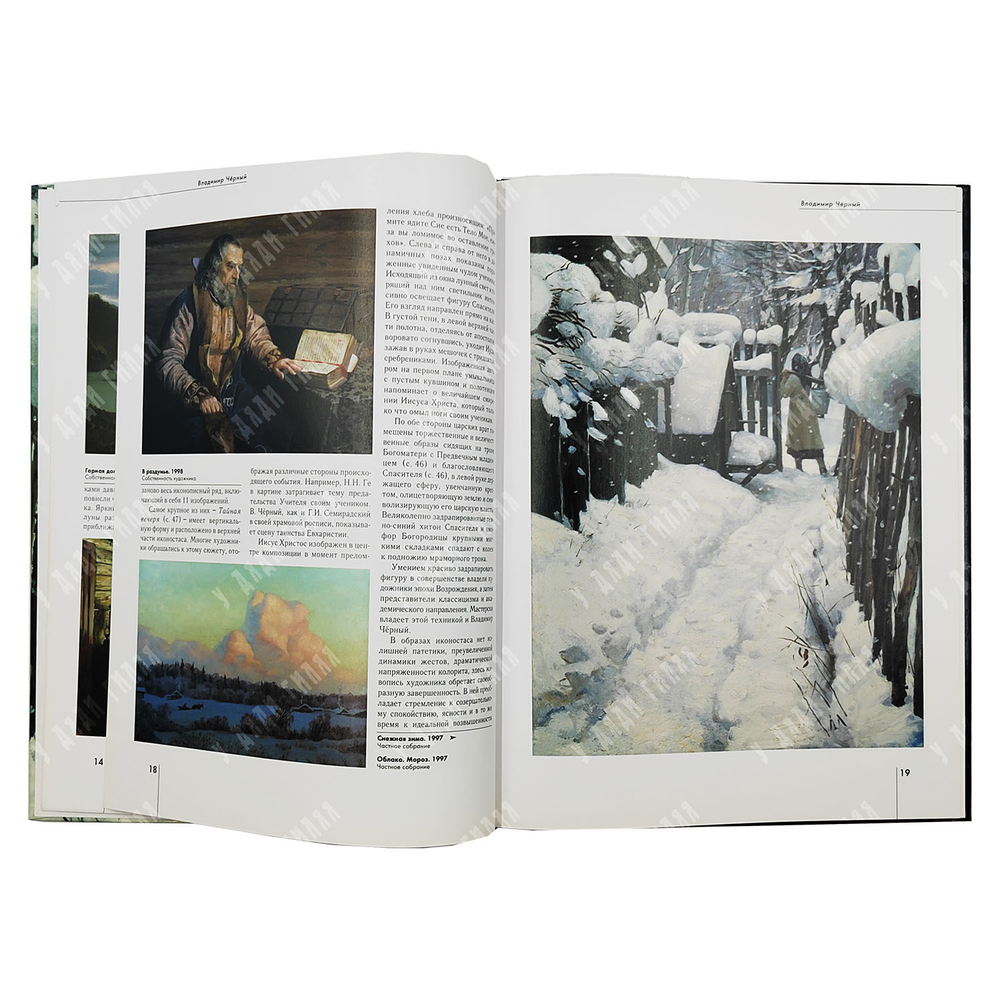 Доронина Л. Владимир Черный. — М.: Белый город. 2005