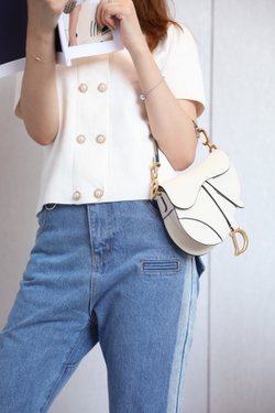 Christian Dior Saddle Bag 21 cm