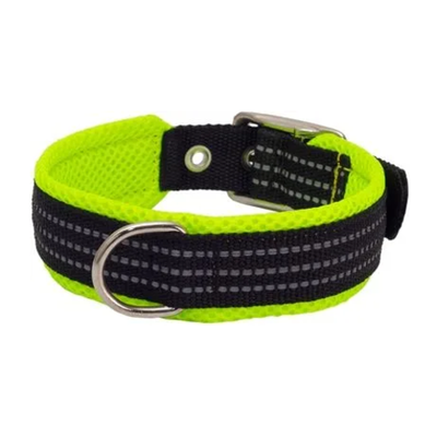 Ошейник нейлоновый с мягкой подкладкой, зеленый (ширина 25мм, обхват шеи 39-45см,)
