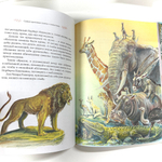 Самые красивые сказки о животных