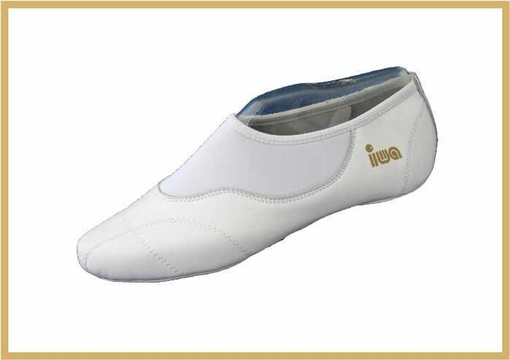 Чешки iwa 270 (белые)