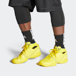 Кроссовки Adidas Adizero Rose 1 2020