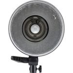 Godox DP300II