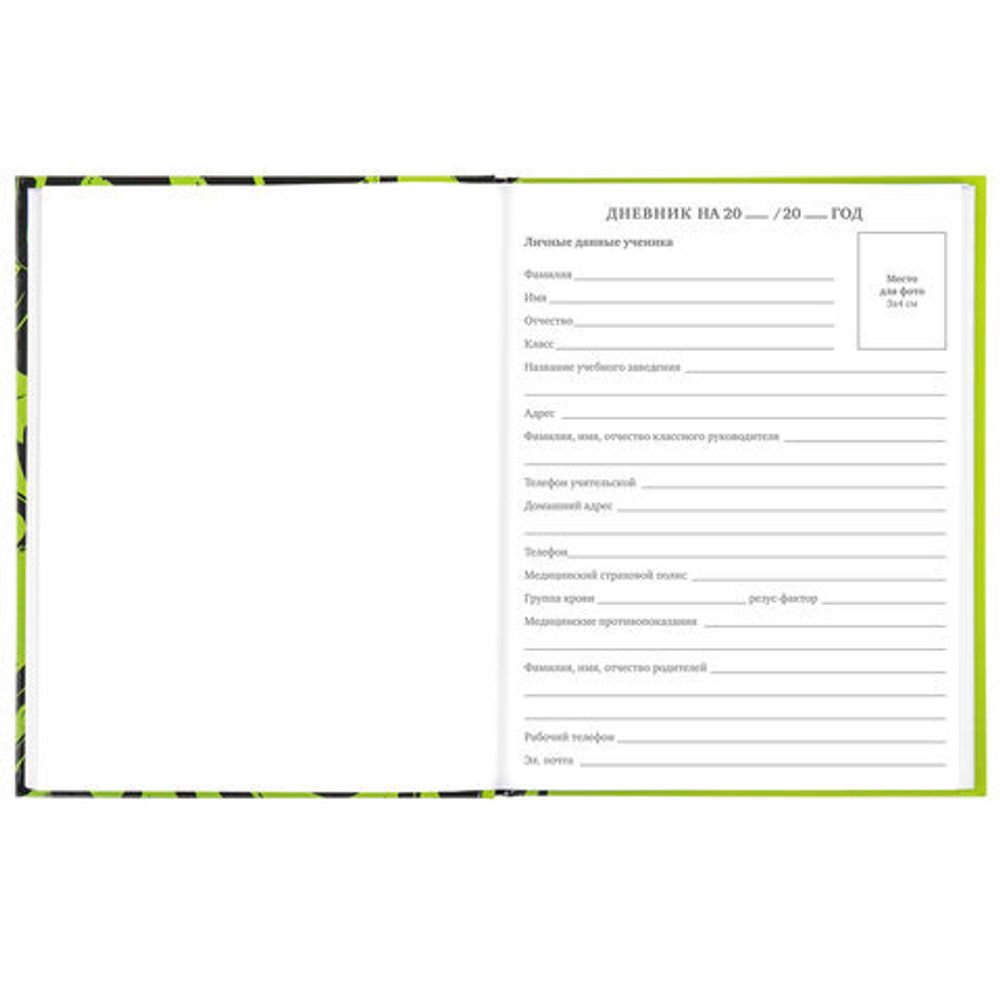 Дневник 5-11 класс 48 л., твердый, BRAUBERG, глянцевая ламинация, с подсказом, "Calligraphy", 106387