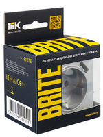 BRITE Розетка 1-местная с заземлением с защитными шторками 16А с USB A+A 5В 2,1А РЮш10-1-БрА алюминий IEK