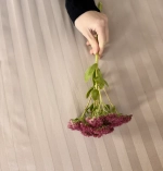 Простыня на резинке 200*90*25 SAND DUNE, сатин