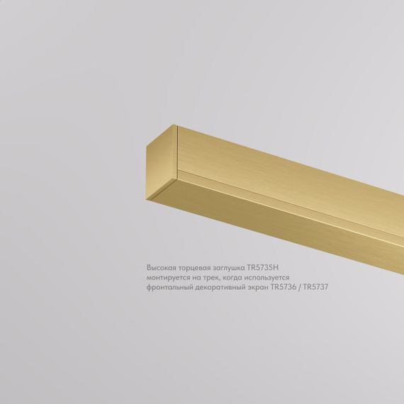 Заглушка Denkirs Shine Base TR5735H-SB