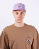 Кепка Anteater 5Panel Velvet Violet