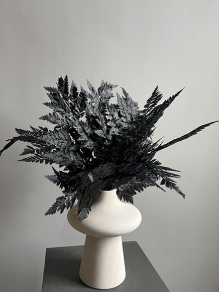 Папоротник черный