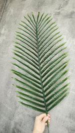 Пальма Хамедорея 180 см без кашпо / Арт 3093