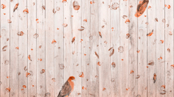 Коллекция WONDERLAND