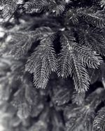 Искусственная елка «Королева леса в черном» (литая хвоя) от 1,2 м до 3 м