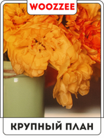 Набор постеров "Оранжевый букет " 3шт.