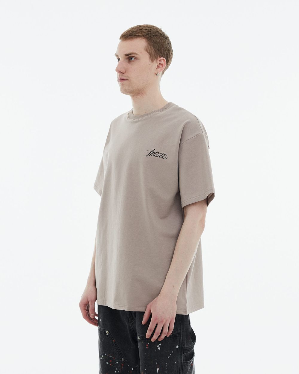 Футболка Anteater Phat 354 бежевая