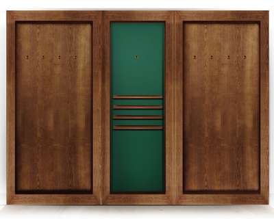 Киевница современная ясень мдф/шпон на 8 киев  (RAL 8014,Манчестер 70 yellow green)