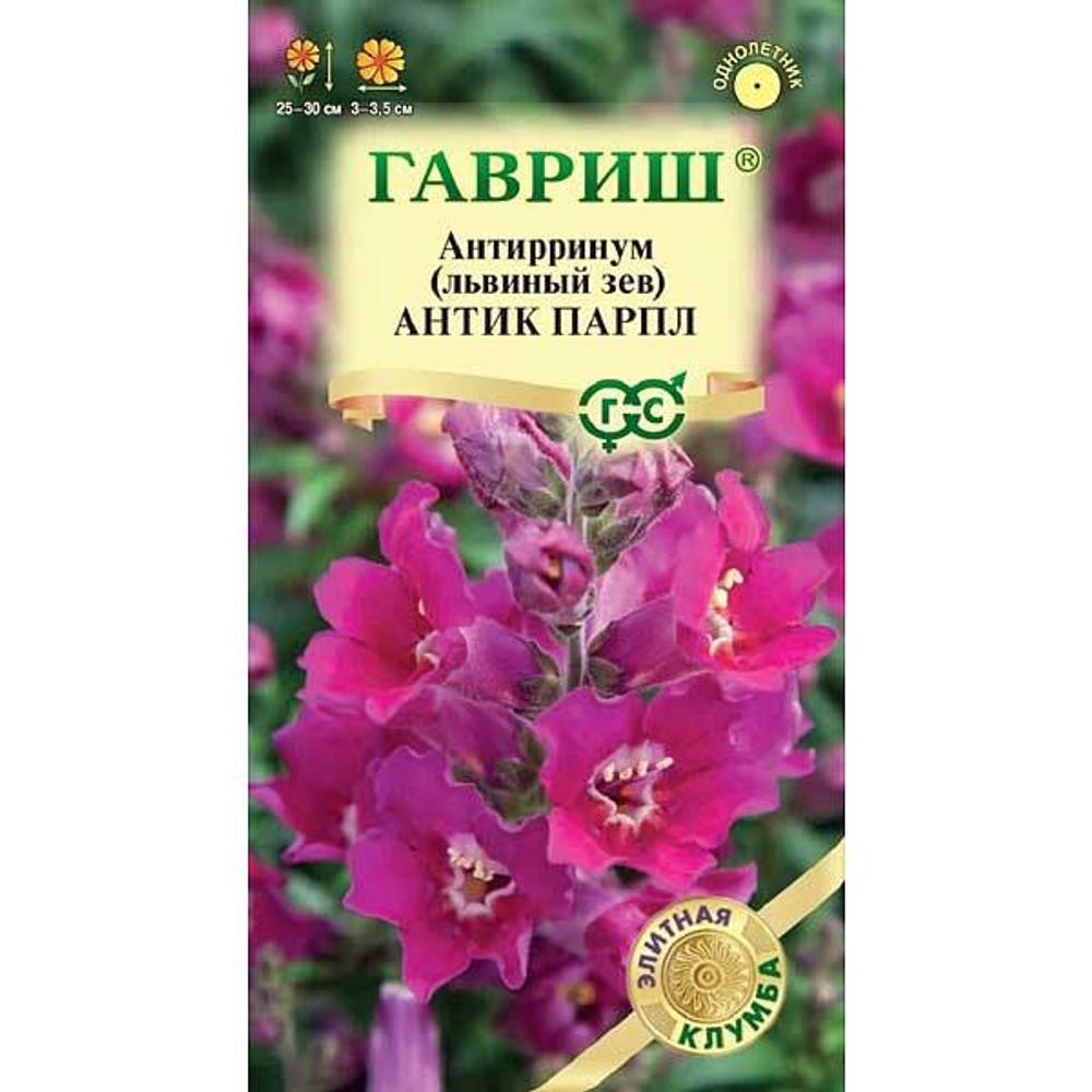 Антирринум (Львиный зев) Антик Парпл 7шт.