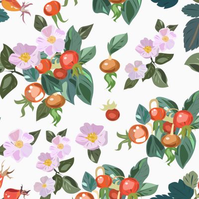 Шиповник с цветами и плодами