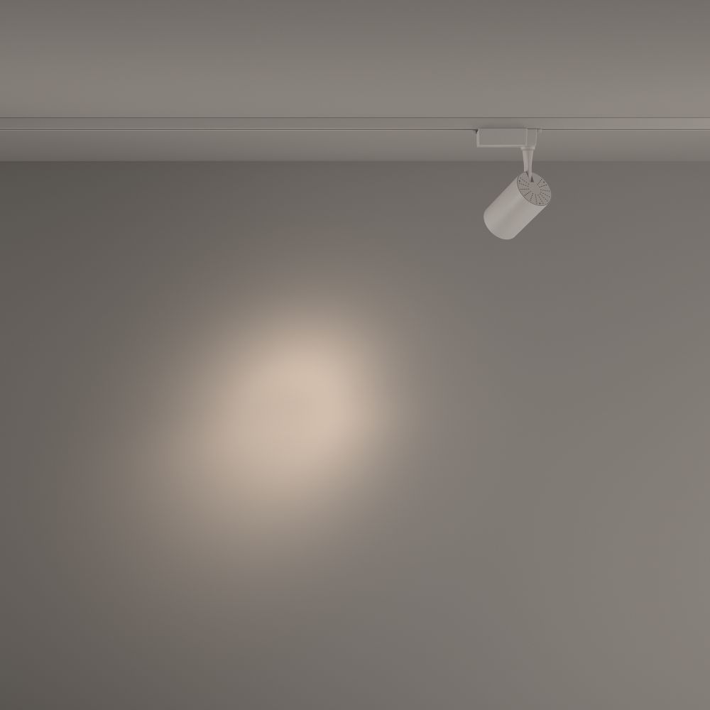 Трековый однофазный светодиодный светильник Maytoni Unity   TR003-1-10W4K-S-W