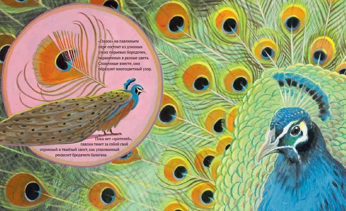 Посмотри на меня! (non-fiction)