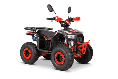 Квадроцикл YACOTA SIRIUS 110