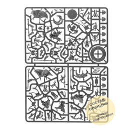 Kill Team: Warp Coven Base Pack