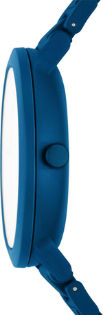 Мужские наручные часы Skagen SKW6770