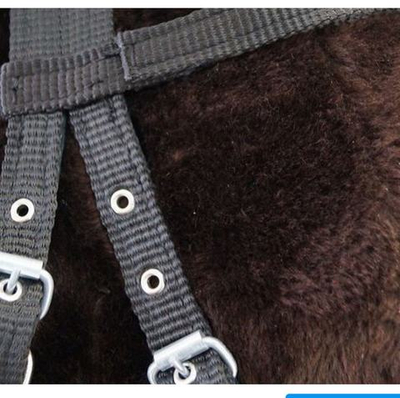 Узда недоуздок