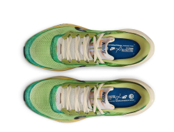 Кроссовки для бега мужские Nike Air Zoom Pegasus 41 SE M Зеленые
