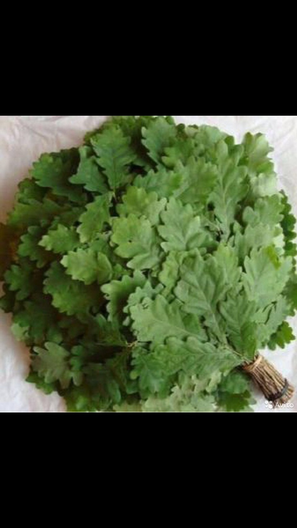 Веник дубовый