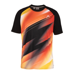 Мужское теннисное поло HEAD DTB Topspin T-Shirt Men - Black, Multicoloured