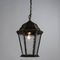 Уличный подвесной светильник Arte Lamp Genova A1205SO-1BN