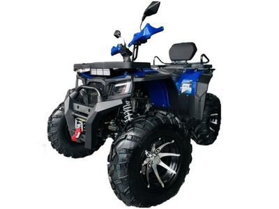 Квадроцикл MOTOLAND 300 Wild Track LUX