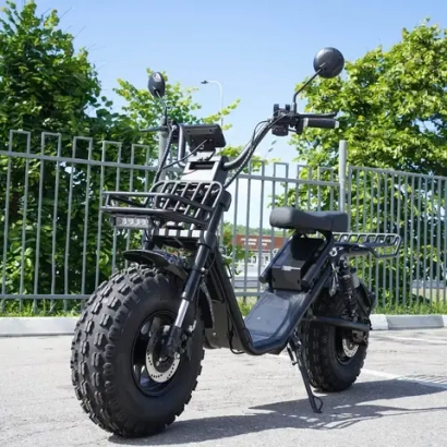 EcoMoto Lion Off-Road E1200W Back Edition