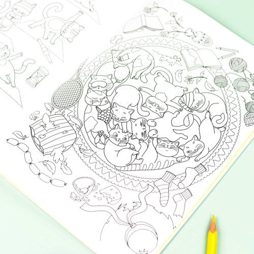 Книжка-раскраска для детей. Серия «Раскраски А5 с наклейками» КОТЫ