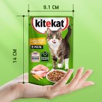 Курочка в желе, 85г влажный корм для кошек KiteKat
