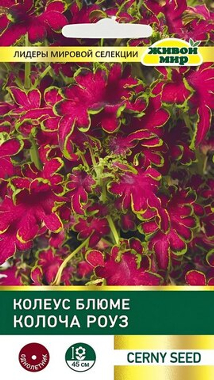 Колеус блюме "ЖМ. Koлoчa Рoyз" 10шт, Чехия.