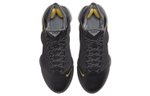 Кроссовки Nike Lebron 19 Low "Witness" 19