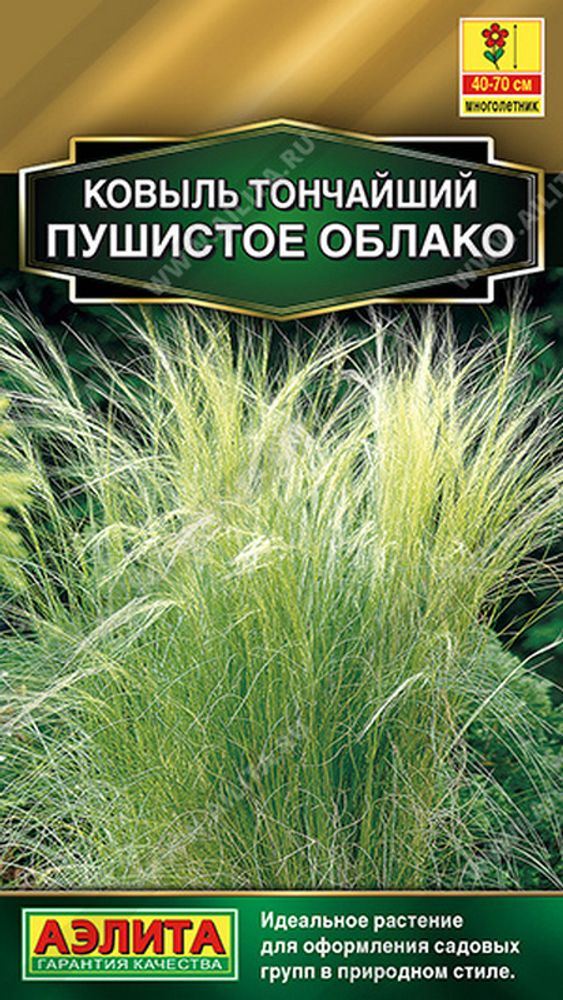 Ковыль "G. Пушистое облако" 5шт., Россия. Ковыль "G. Пушистое облако" 5шт., Россия.