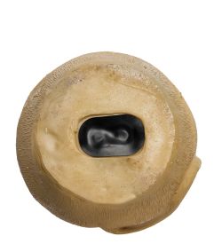 MC-200/2 Копилка «Мышонок»