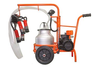 Доильный аппарат для коров «LIDER» Грация (Турция)