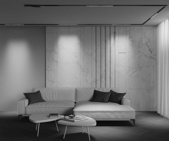 Трековый светильник Maytoni Technical EXILITY X Points TR241-2-12W3K-B