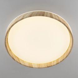 Citilux ENZO CL753452G LED RGB Светильник с пультом Клён