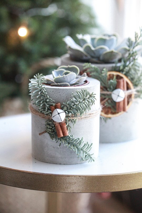 Суккуленты в бетонных кашпо. Корпоративный подарок