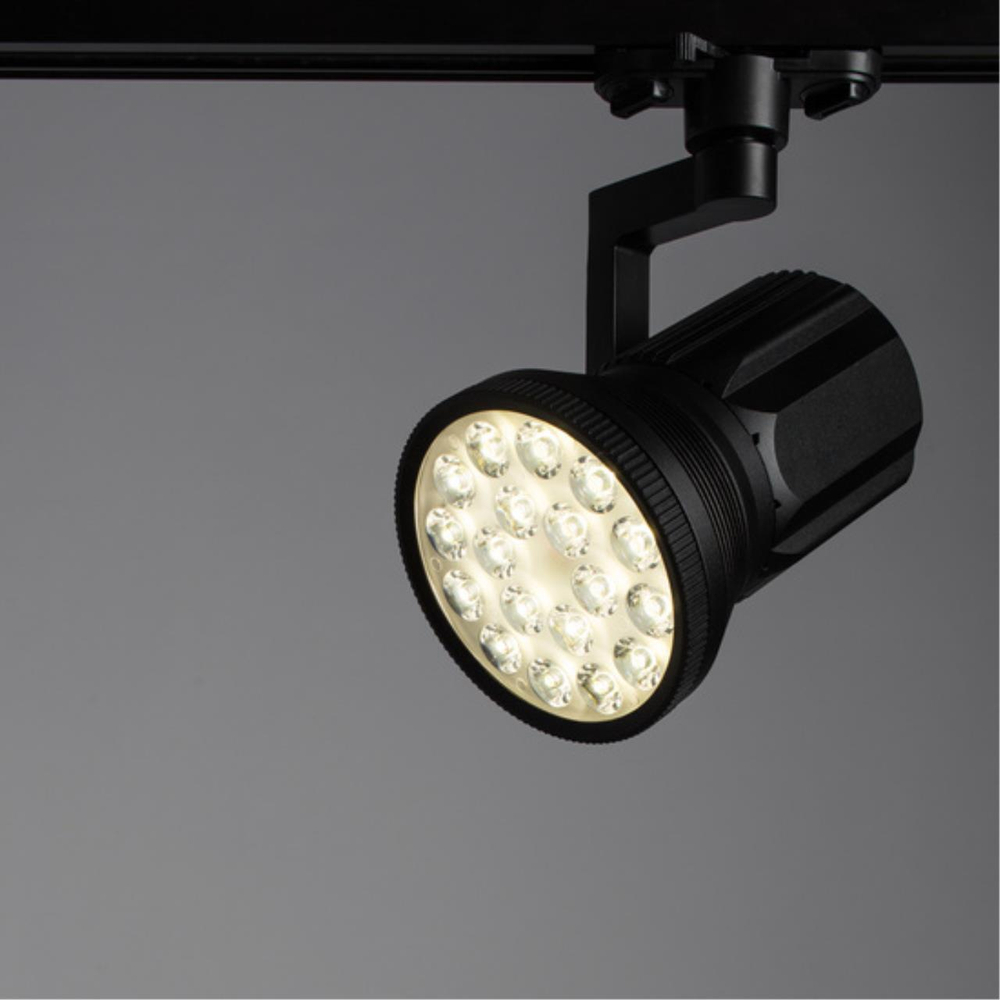 Светильник потолочный Arte Lamp Pianta A6118PL-1BK