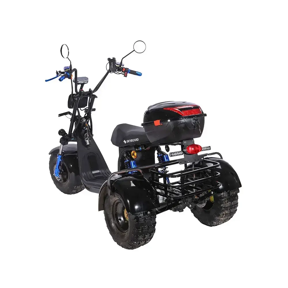 Skyboard TRIKE BR40-3000 PRO FAST OFF-ROAD
