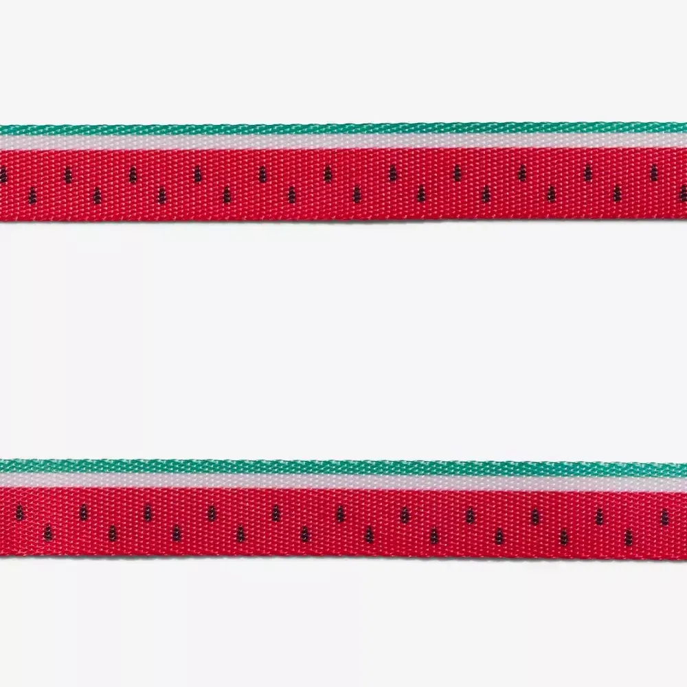 Ошейник LOLA Zee.Dog